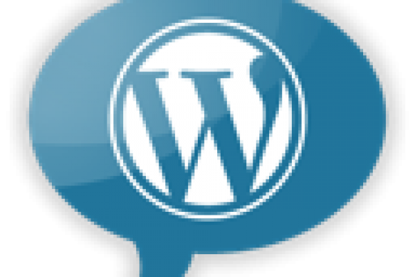 Wordpress SEO